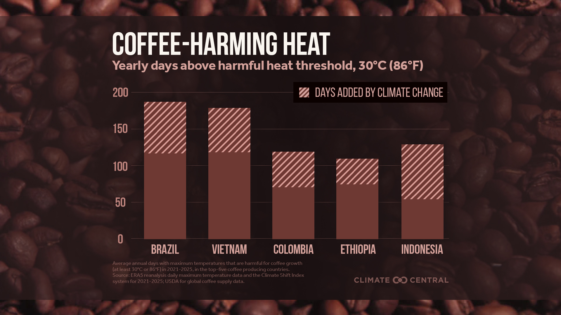 2026Coffee_Bars_en_title_lg (1)