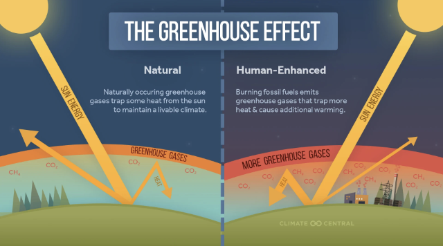 Screenshot 2024-10-31 at 11.15.59 AM